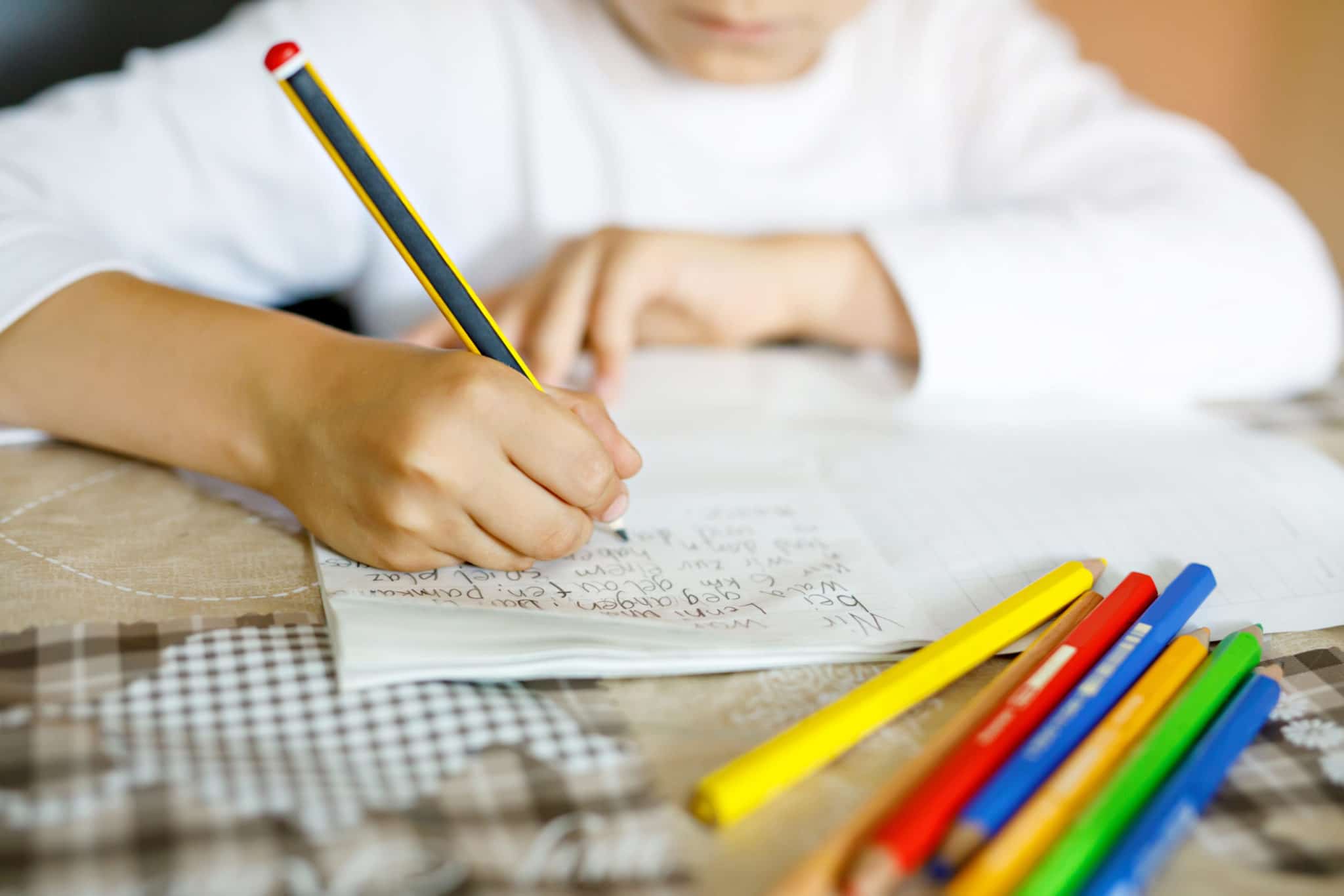 A Guide to Sustainable Back-to-School Supplies