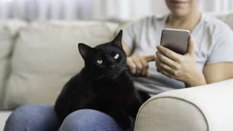 10 Pet Apps for Pet Parents